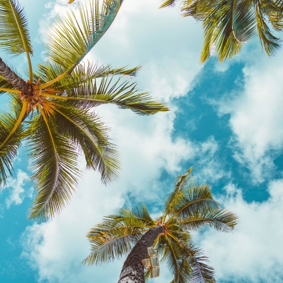 Meet your Posher, Daria - Picture 1 of 1